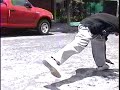 avalancha mayerli