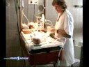 Cellule Staminali da cordone ombelicale