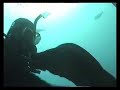 buceo en tabarca 2 buceo en tabarca 2