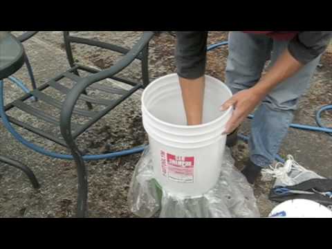 how to grow worms for chicken feed