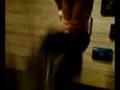 surya 6 pack