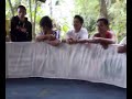 Sabung Ayam