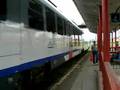 RM838/837 Cluj Napoca-Petrosani (plecare)