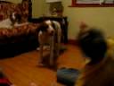 Holli playing Volleyball