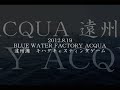 ACQUA キハダマグロキャスティング 「沈下系」 沈下