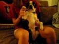 videos de Abby dance video - Jesse McCartney Leavin