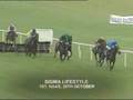 Noel Meade Feature