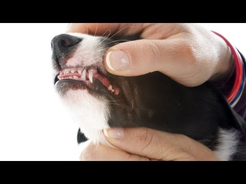 how to help with teething