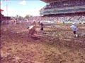 calgary stampede steer riding short go calgary stampede steer riding short go