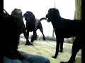 ラブだらけ