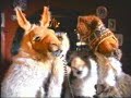 La llama que llama 14 - Circo de Moscu