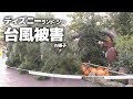 2019年9月9日 台風から一夜明けたディズニーランド・シーに残る被害状況