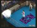 Terry Funk -vs- Jerry Lawler