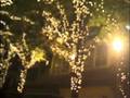 クリスマスキャロルの頃には / Water