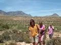 Color me Red sightseeing tour