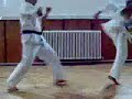 ares dojo ares dojo