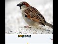 Live Content - ePicture Live Content - ePicture