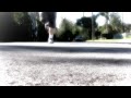 WSAP Olympics Teaser