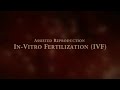 3D animation of how IVF works