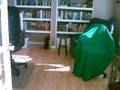 videos de Ummm ya
