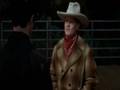 The Cowboy