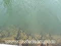TWISTEEN nuovi artificiali pesca sportiva: connessione B TWISTEEN nuovi artificiali pesca sportiva: connessione B