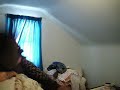 When lamps attack.