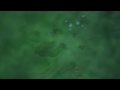 BTRL - BSG Intro