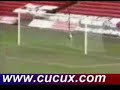 stupid goal stupid goal