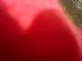 sds971 sds971