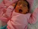 Miiii niniia Miiii niniia