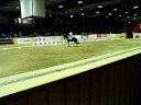 Andreas Helgstrand, clinic, Flyinge, 5-�ring