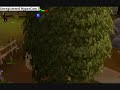 Runescape noob patrol! Runescape noob patrol!