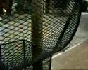 policias en acción: la ebria del basurero