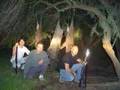 TARARIRAS Y JABALIES EN DURAZNO, URUGUAY