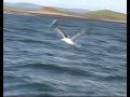 Clew Bay