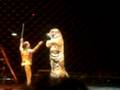 videos de Ringling Bros Circus
