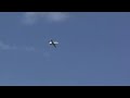 Albatros L-39 Kitz Peter perfect flight