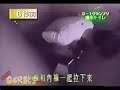 Broma Japonesa Toilet
