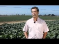 What Does This Farmer Hope For The Future Of His Family Business?
