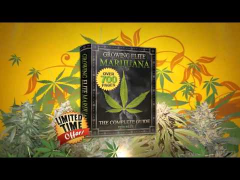 how to grow elite weed pdf