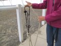 Parelli Hackamore storage