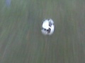 Soccer freekick