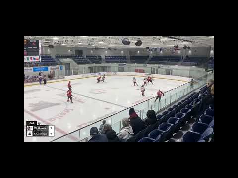 U18AAA 2022/2023 Wolfpack vs. South Shore