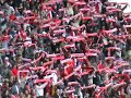 Slavia - Plzen Slavia - Plzen