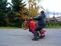 tomos targa wheelie