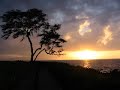 comments, ratings etc are greatly appreciated! thank you.