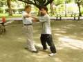 GM Wang Chieh Pushhands Practice 2006
