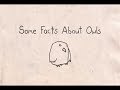 Some Facts About Owls