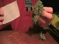 How to make a fingerboard grass gap
